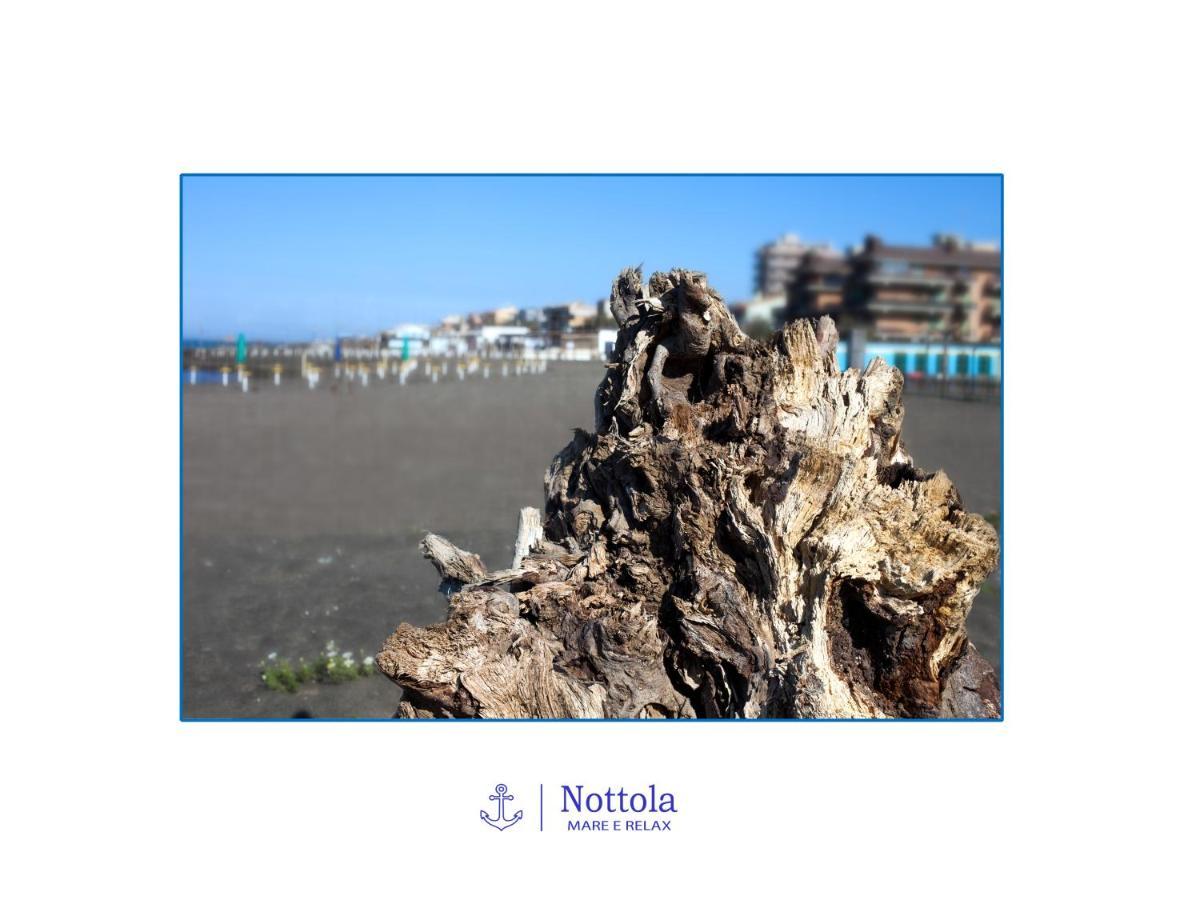 Nottola B&B Ladispoli Exteriör bild